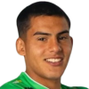 Penailillo