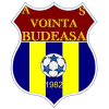 Vointa Budeasa