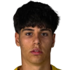 Akdemir