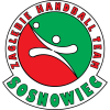 Zaglebie Sosnowiec