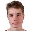 Damhaug