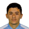 Rebolledo Ardiles