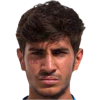 Delvino