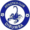 Dibumba