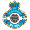 Virtus Matino