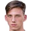 Fahler