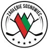 Zaglebie Sosnowiec