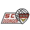 Dudingen
