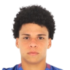 Emerson Urso