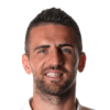 Ibisevic