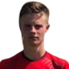 van den Heuvel