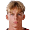 van Eldik