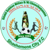 Shashemene Kenema