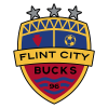 Flint City