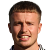Dyer