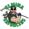Elmira Enforcers