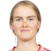 van der Veen