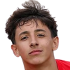 Bossenberry