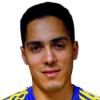 Scarione