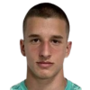 Zrnic