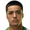 Palavecino