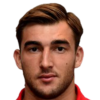 Malesevic