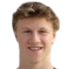 Domjan