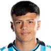 Merino