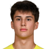 Hrvojevic