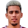 Zanini