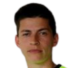 Hodzic