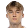 Potulski