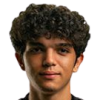 Terzi