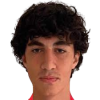 Giunashvili