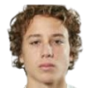 Mihailovic