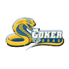Coker
