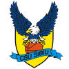 CSU Sibiu *