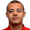 Vucicevic