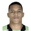 Vitao