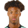 Fernandes