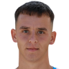 Holan