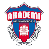 Helsingborgs IF Akademi