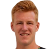 de Vries