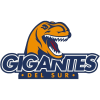 Gigantes del Sur