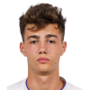 Mituljikic