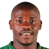 Ndlovu