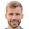 Pinto Fonseca