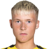 Finnbogason