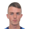 Babic