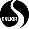 Fylkir Nữ